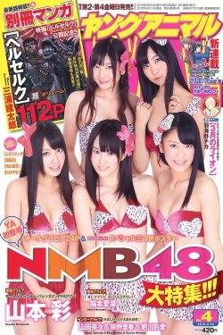 NMB48 山本彩 福本爱菜 [Young Animal] 2012年No.04 写真杂志 